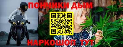 молекула духа Славянск-на-Кубани