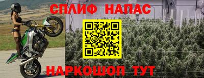 молекула духа Славянск-на-Кубани